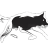 DNSPROXY